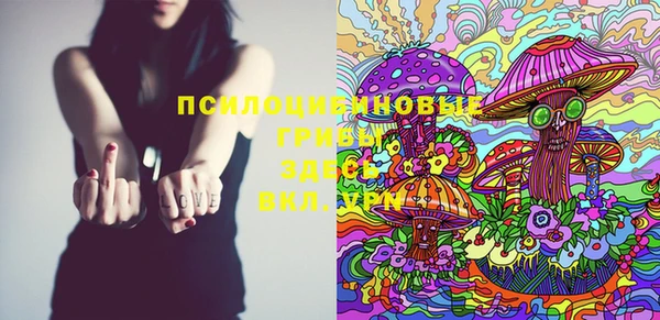 сатива Вязники
