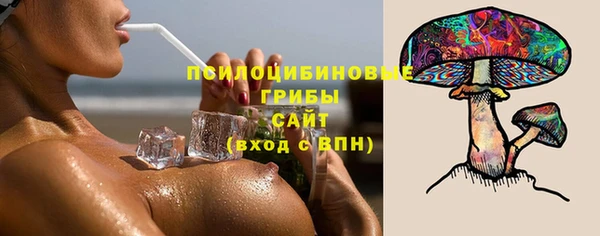 сатива Вязники