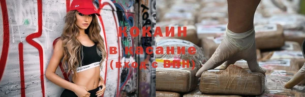 сатива Вязники