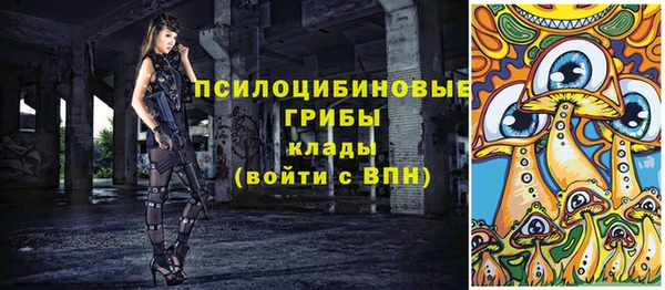 сатива Вязники