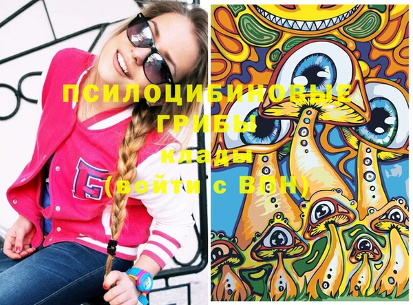 прущая мука Вяземский