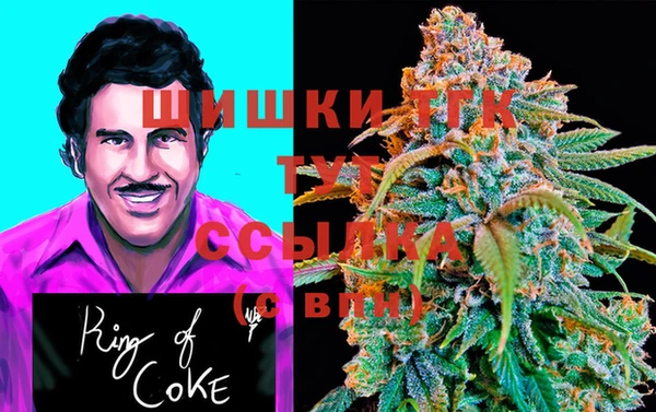 сатива Вязники