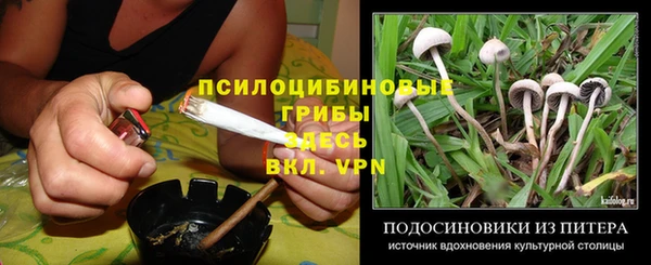 сатива Вязники