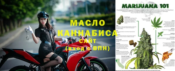 сатива Вязники