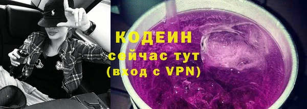 прущая мука Вяземский